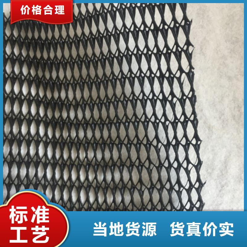 三维植被网土工网垫专注细节更放心