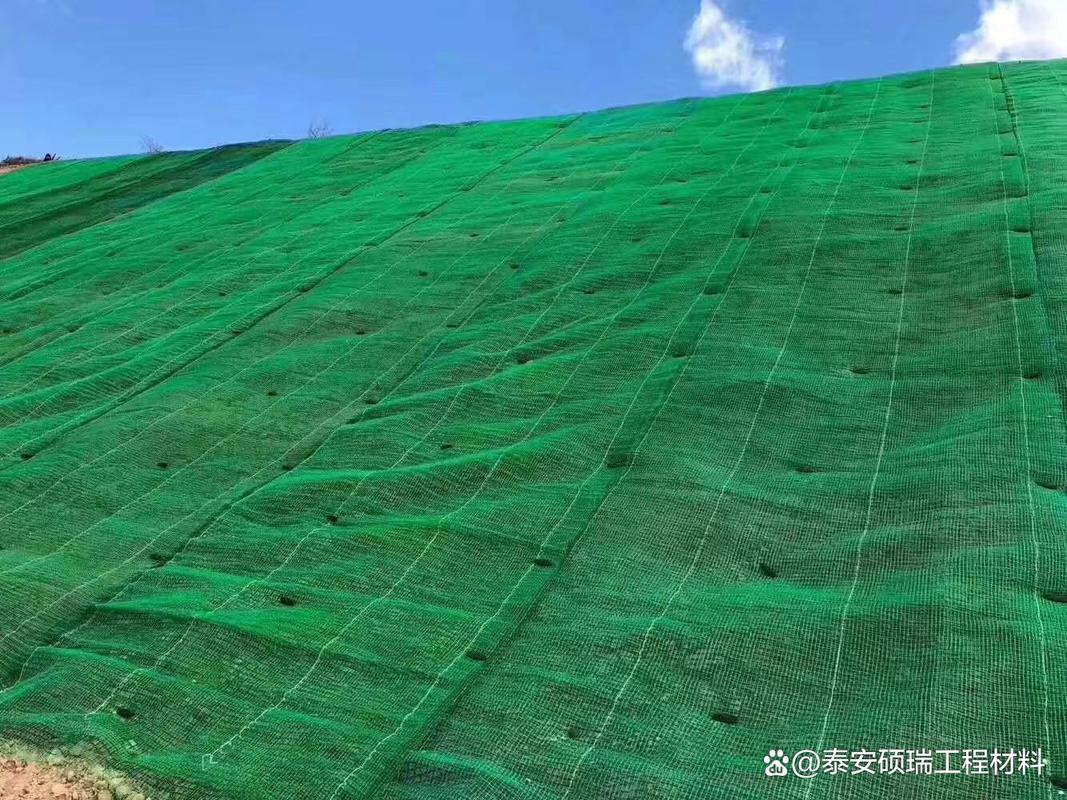 兰州三维土工网垫甘肃护坡绿化土工格栅18853859699