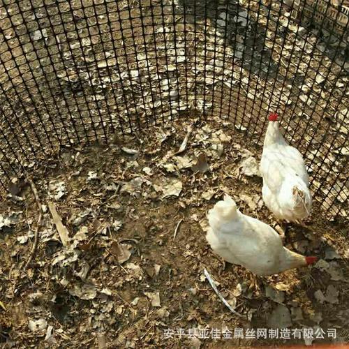 土工网 土木工程中的‘隐形骨架’