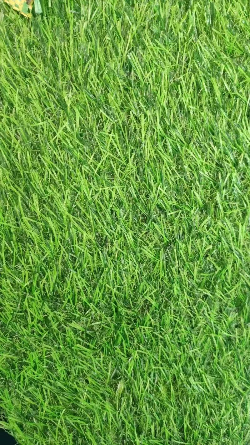 土工布防尘网草坪地毯:栾城县158